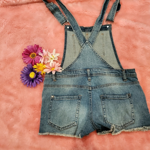 Empyre boyfriend overalls - Picture 7 of 8